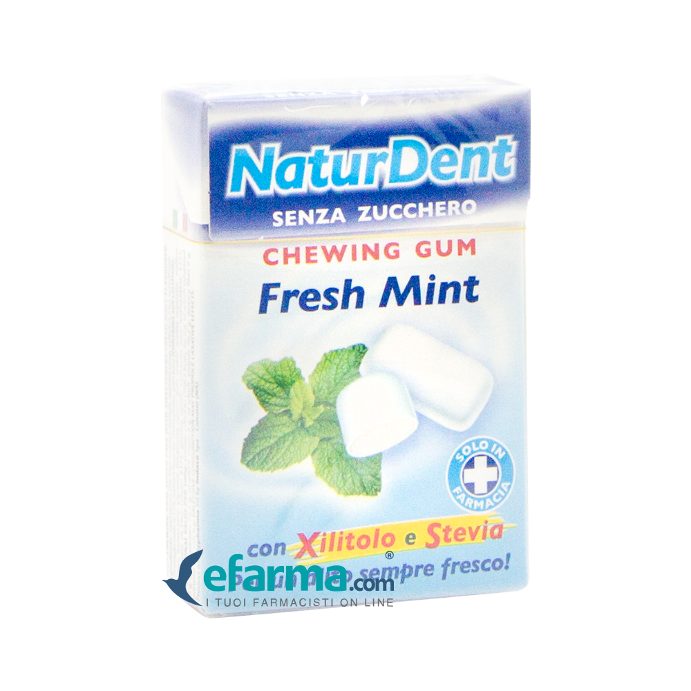 Naturdent Fresh Mint Chewing Gum